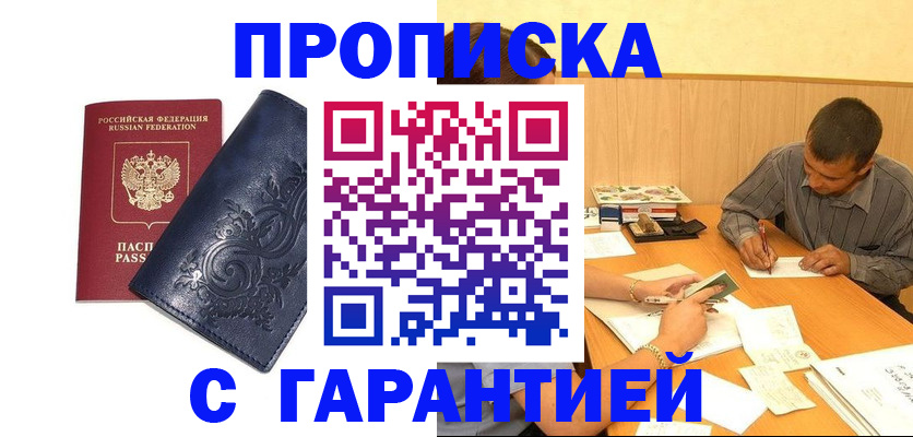 прописка поиск в Кингисеппе